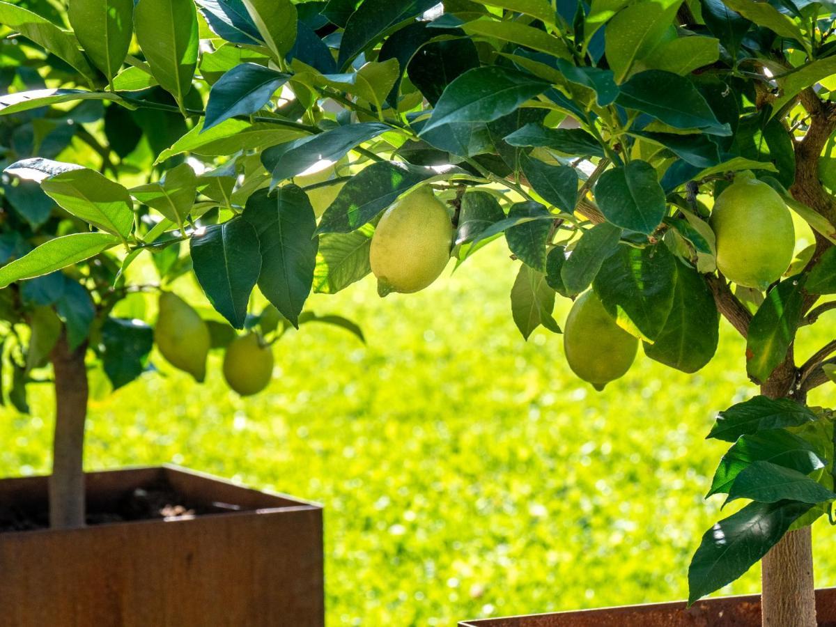 Gartenheim Tramin تيرمينو المظهر الخارجي الصورة